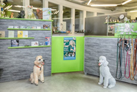 Hundesalon Happyparadise | Frauenfeld